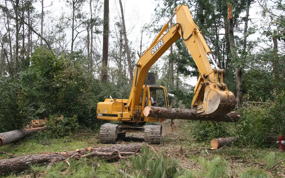 Excavator removing a felled tree